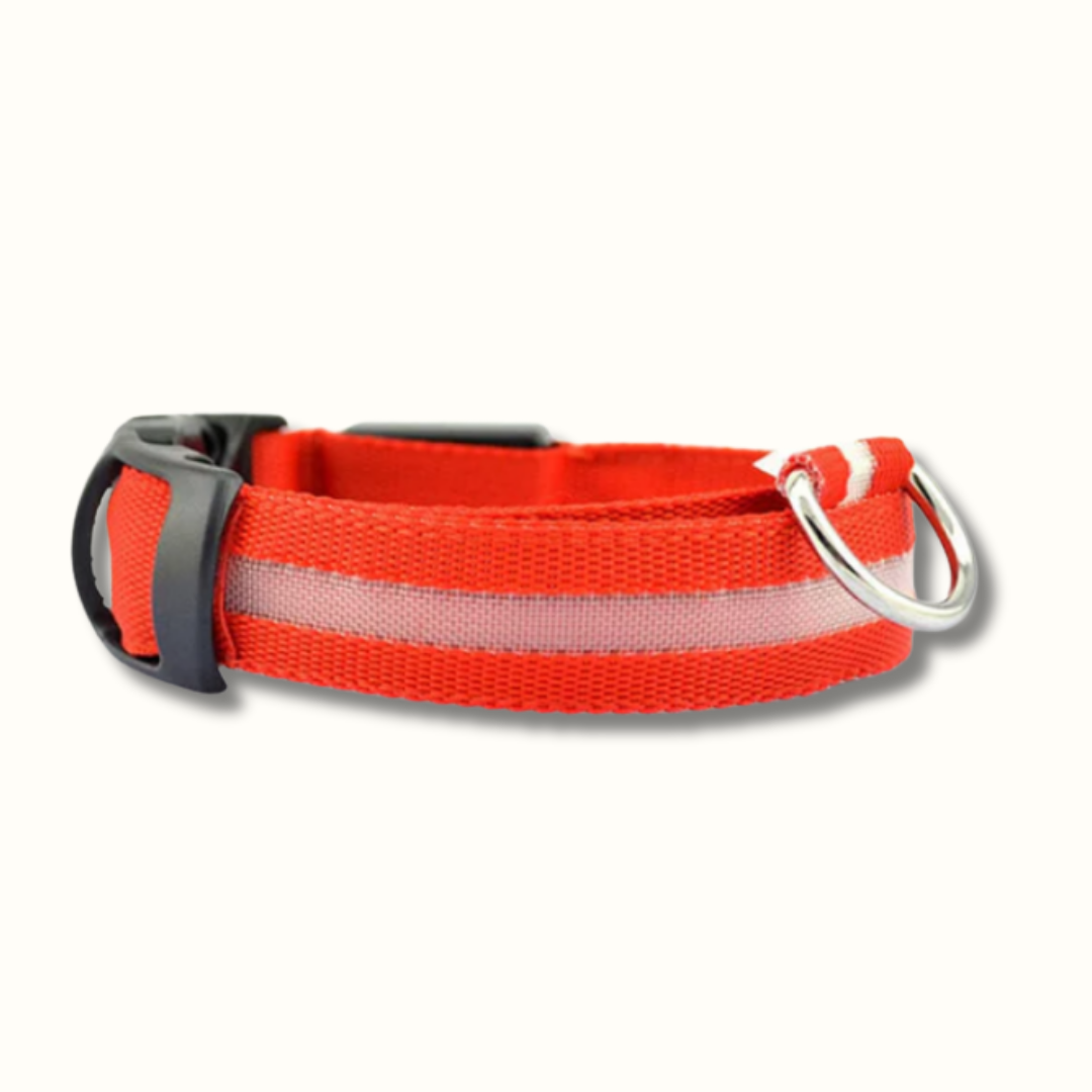 GlowPup - Oplaadbare LED Halsband