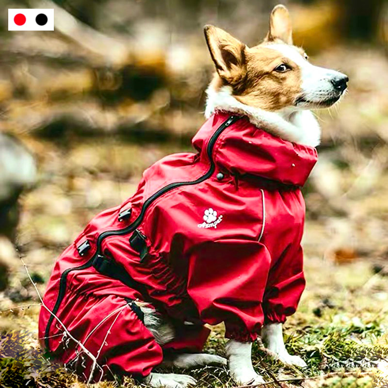 DryPup - Houdt je hond schoon droog beschermd