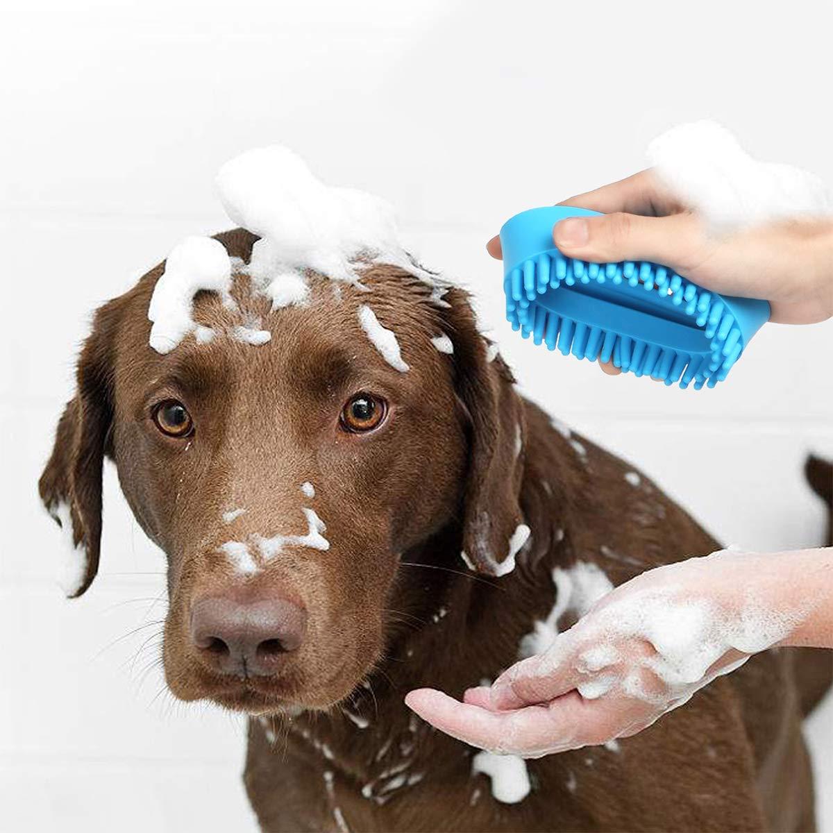 PawClean - Pootjes fris, vloeren schoon!