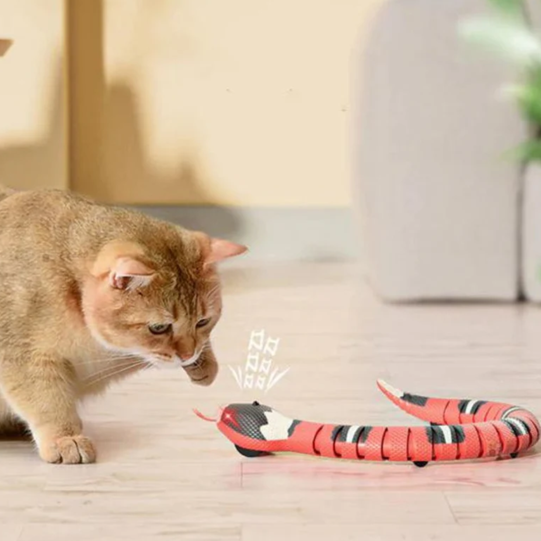 SlitherFun - Interactieve Slangenrobot Huisdierenspeelgoed