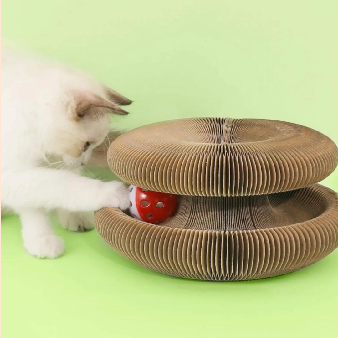 PurrPlex - Opvouwbaar Modulair Kattenspeelgoed