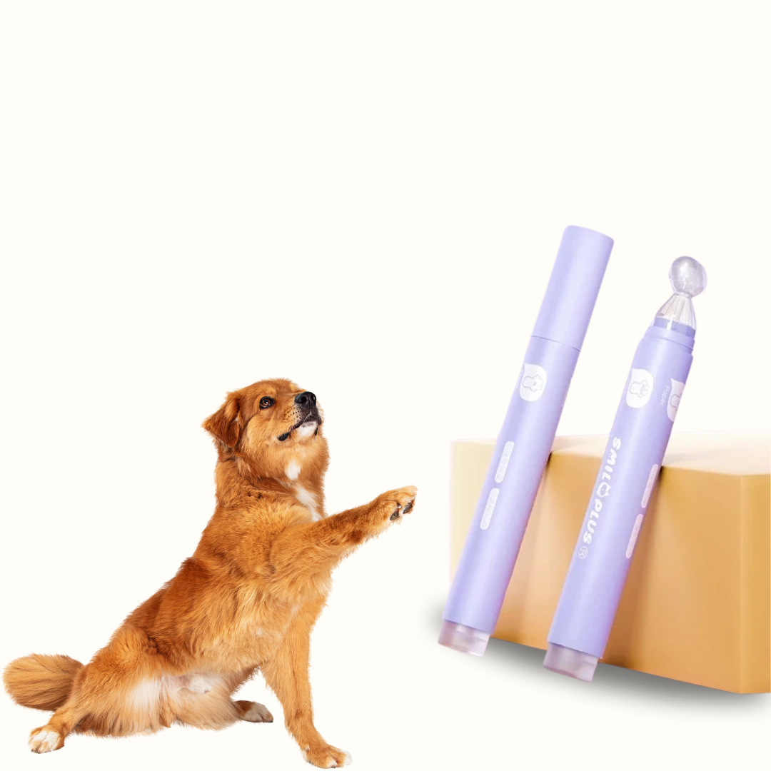 Pawfect - Lick-Safe Hydraterende Pootolie