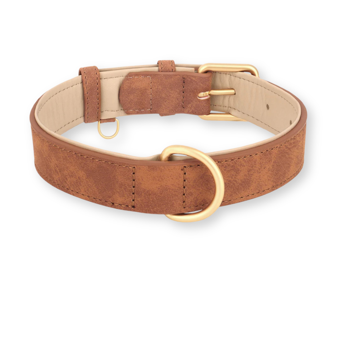 ChicLeash - Sterke Leren Hondenhalsband