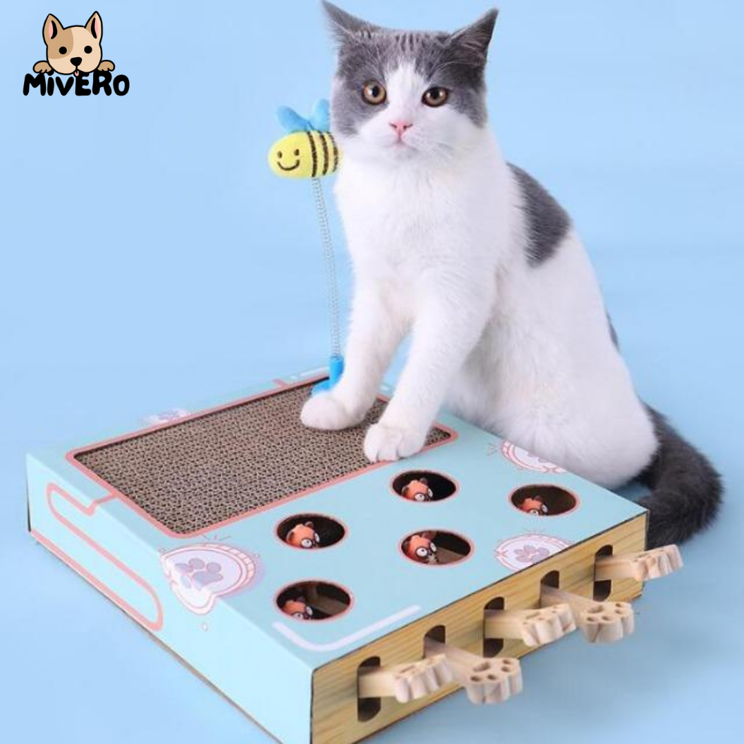 Pounce - Whack-A-Mole Krabspeelgoed