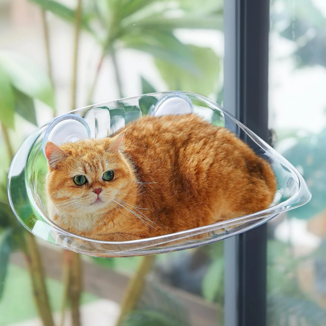 CatCradle - Zonder Koorden Kattenhangmat