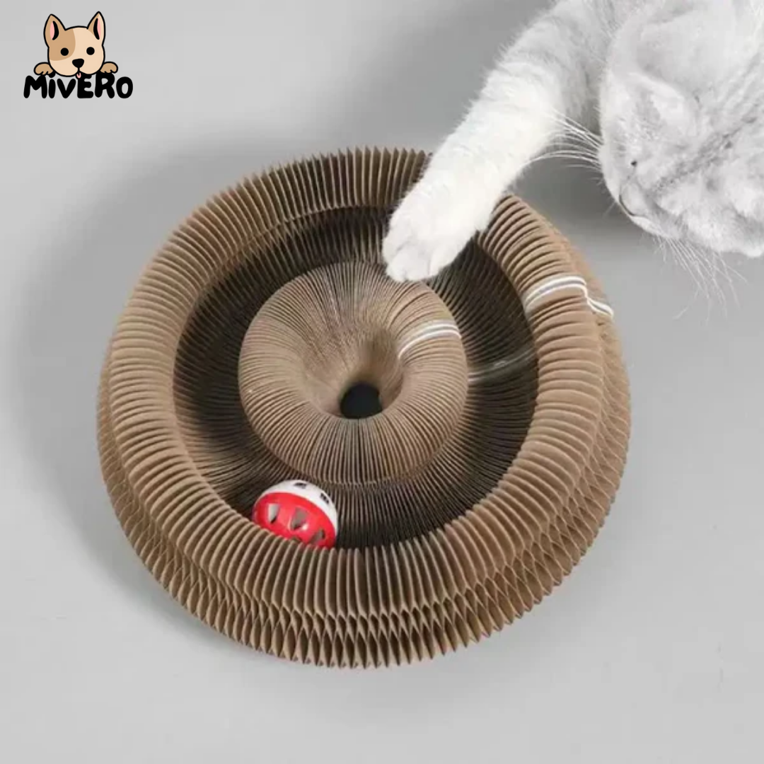 PurrPlex - Opvouwbaar Modulair Kattenspeelgoed