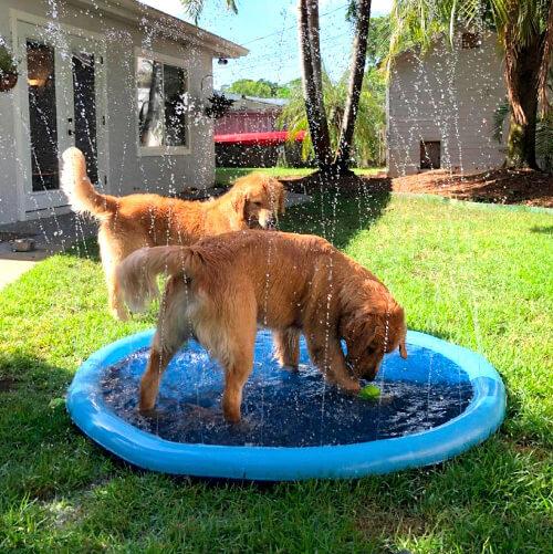 FunPup™ Splash Pool - Maak Waterplezier voor je Pup!