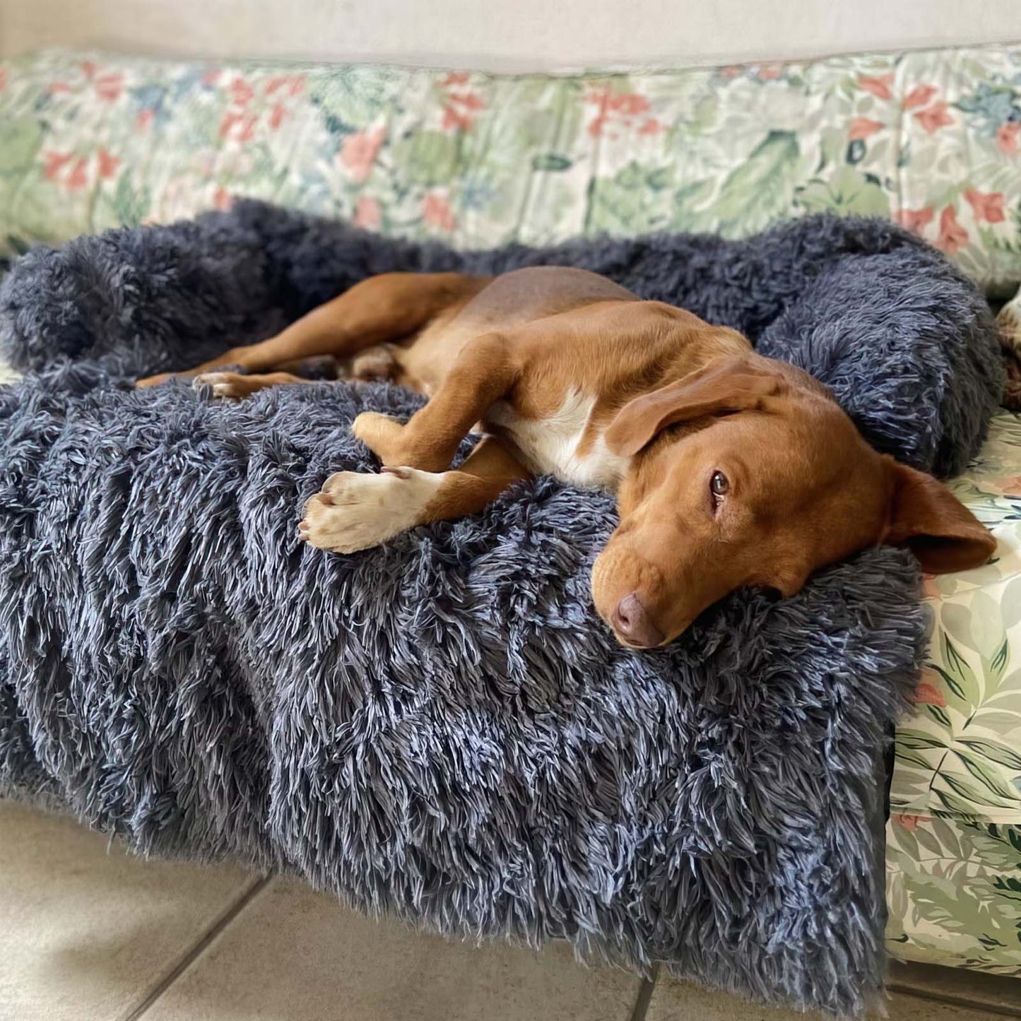 Luna | Grootte Meubelbeschermer en Hondenmand