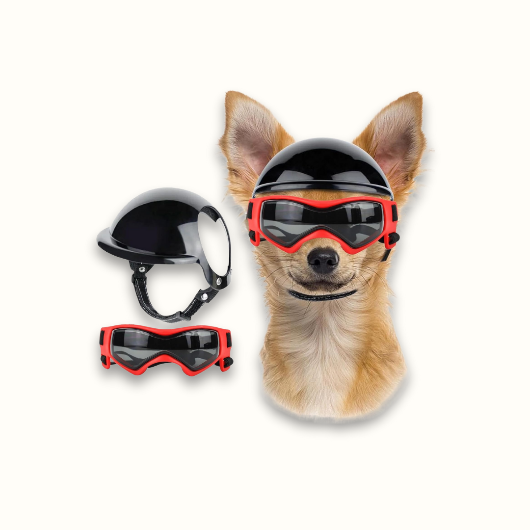 HelmPup - Beschermende Hondenmotorhelm Set