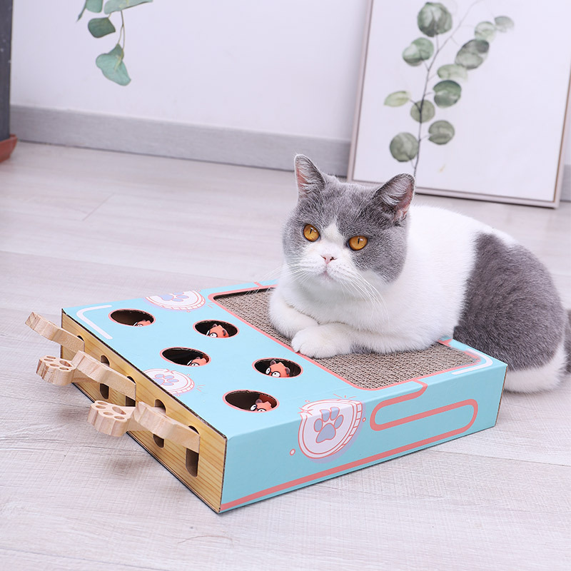 Whiskers | 3 in 1 Interactief Kattenspeelgoed