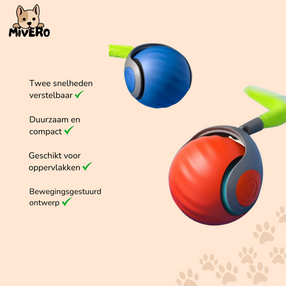 Zoomball 2.0 - Houdt katten actief en speels